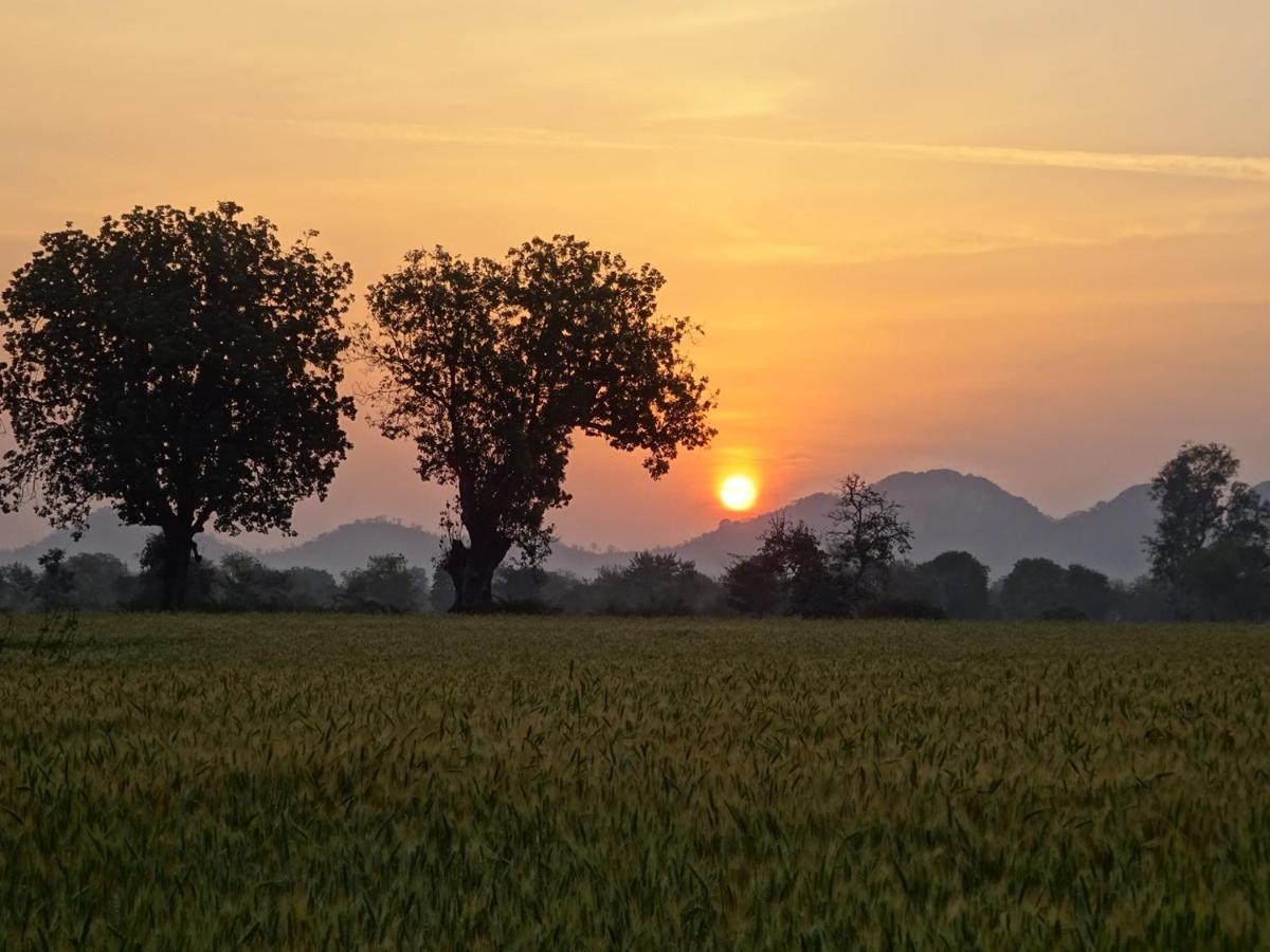 Maji Homestay Khajurāho Dış mekan fotoğraf