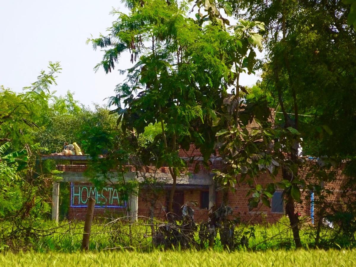 Maji Homestay Khajurāho Dış mekan fotoğraf